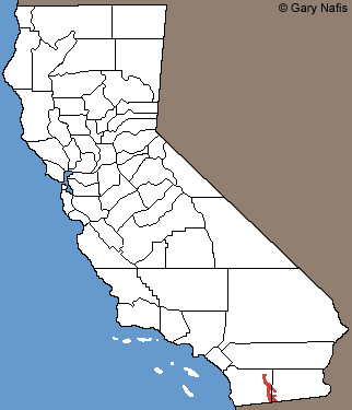 Peninsular Banded Gecko California Range Map