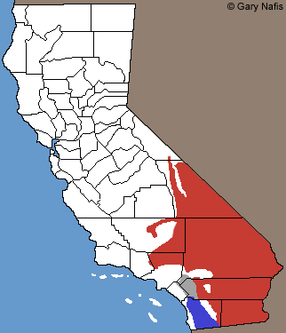 Western Banded Geckos California Range Map