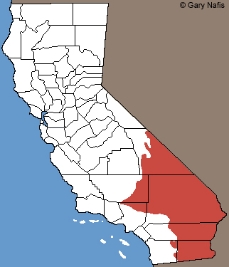 Northern Desert Iguana California Range Map
