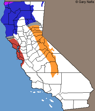 Northern Alligator Lizards California Range Map