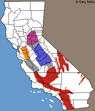 Gilbert's Skinks Range Map