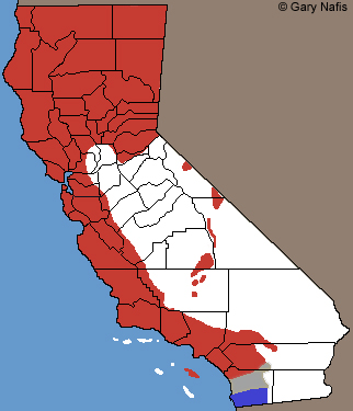 Western Skink California Range Map