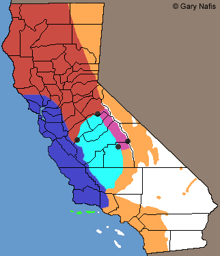 Western Fence Lizards California Range Map