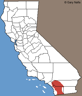 Granite Spiny Lizard Range Map