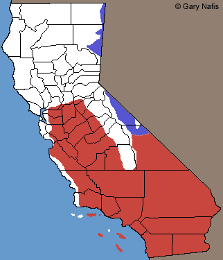 Side-blotched Lizards California Range Map