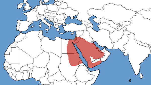 range map