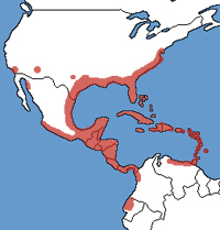 range map