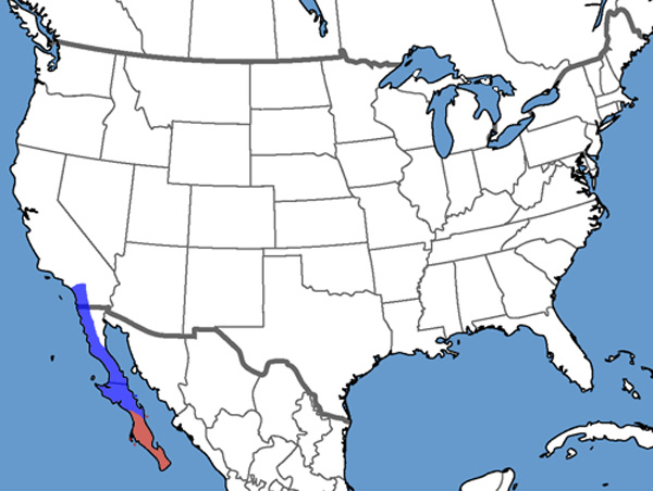 Full Species Range Map
