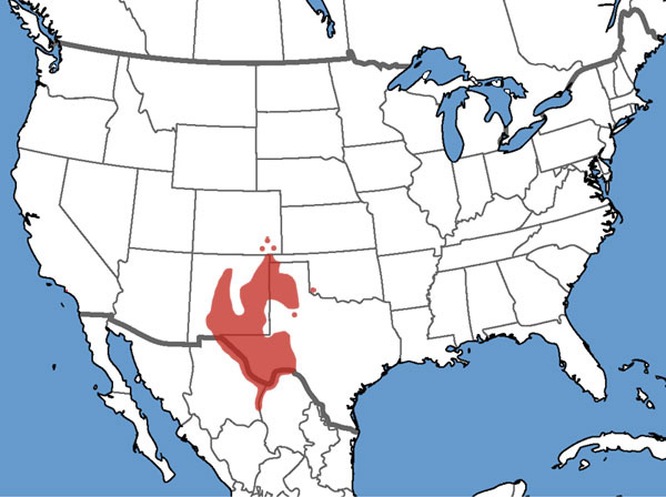 Full Species Range Map
