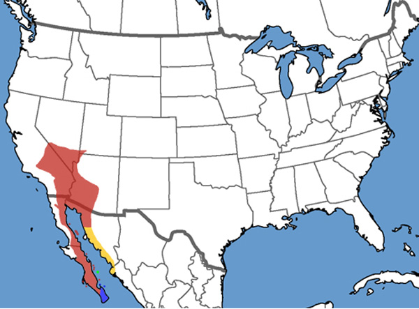 Full Species Range Map