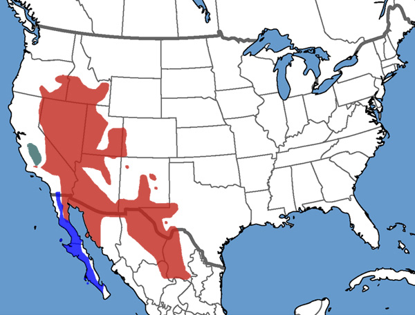 Full Species Range Map