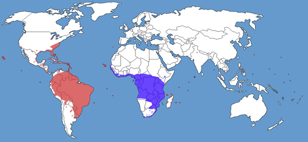 Full Species Range Map