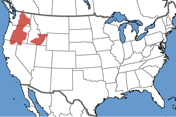 Full Species Range Map