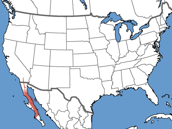 Full Species Range Map