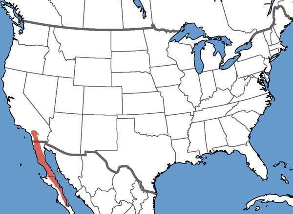 Full Species Range Map