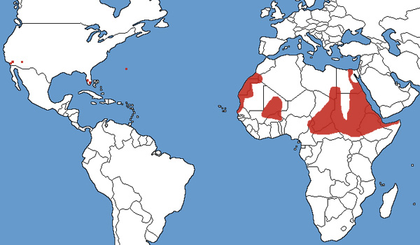 Full Species Range Map