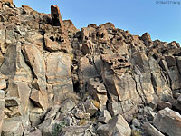 Mearns' Rock Lizard habitat