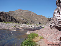 Central Baja California Banded Rock Lizard habitat