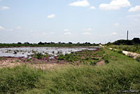 Plains Spadefoot habitat