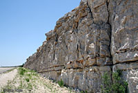 Gray-banded Kingsnake habitat