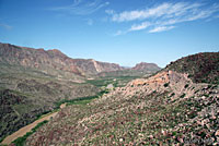 Desert Kingsnake habitat