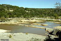 Texas Cooter habitat
