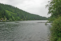 Northern Leopard Frog habitat