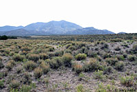 Salt Lake Valley Short-horned Lizard habitat