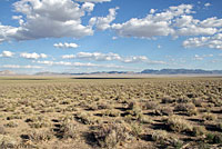 Great Basin Gophersnake habitat