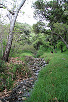 san gab foothills habitat
