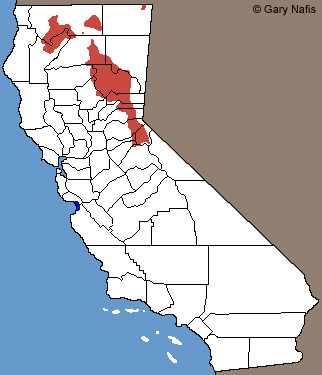 Long-toed Salamanders California Range Map