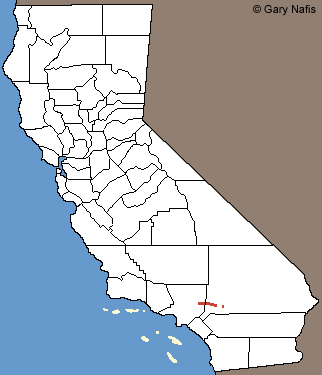 San Gabriel Mountains Slender Salamander Range Map