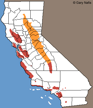 California Newt Range Map