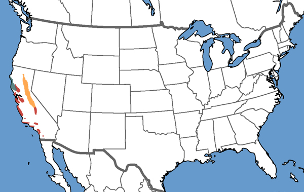 California Newt Range Map