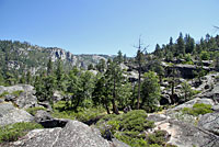 Sierra Mountain Kingsnake Habitat