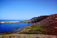 Santa Cruz Gartersnake Habitat