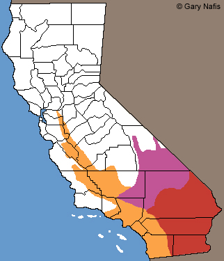 glossy snakes range map