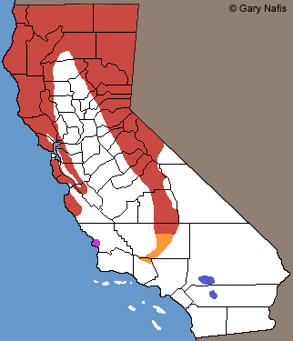 Rubber Boas California Range Map