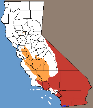 Coluber flagellum California Range Map