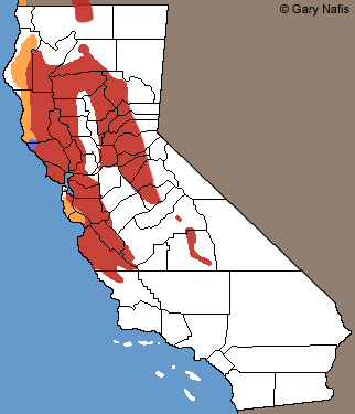 Sharp-tailed Snakes California Range Map