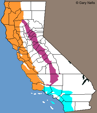 Ring-necked Snake California Range Map