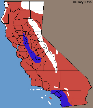 California Kingsnake Range Map