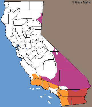 Patch-nosed Snakes California Range Map