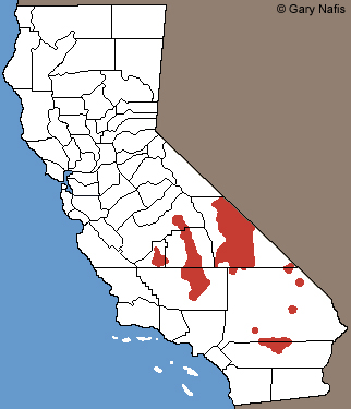 Smith's Black-headed Snake California Range Map