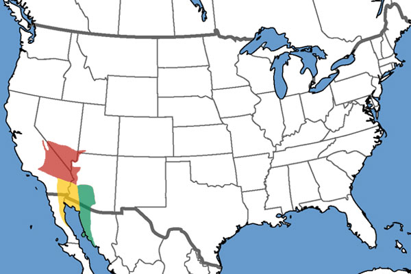 Full Species Range Map