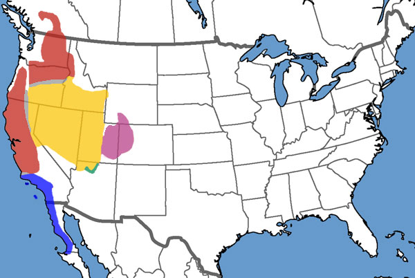 Full Species Range Map