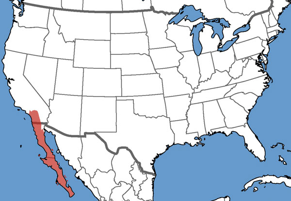 Full Species Range Map