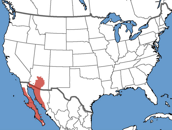 Full Species Range Map