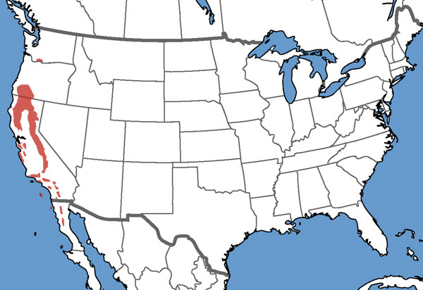 Full Species Range Map