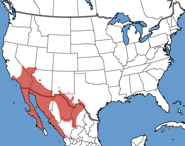 Full Species Range Map
